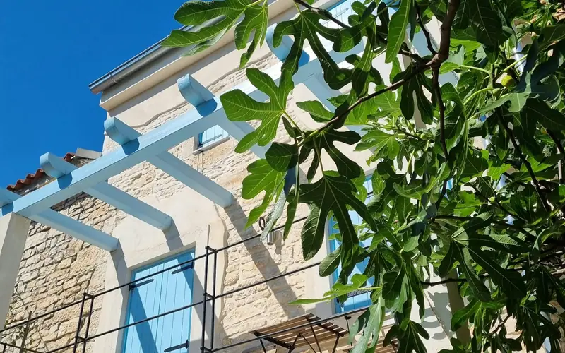 Casa Bella: Natursteinfassade mit weißer Pergola, blauen Fensterläden und Feigenbaum vor blauem Himmel