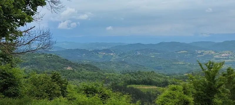 Wide view over the green Istrian hills