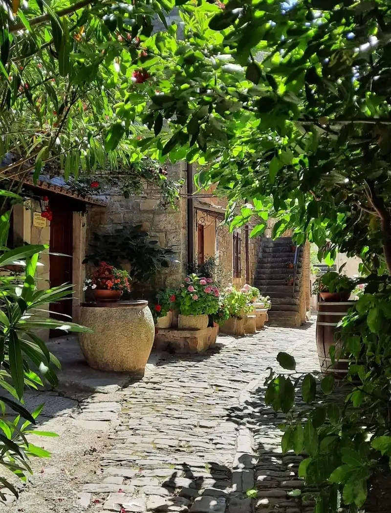Alley with natural stone houses and plants
