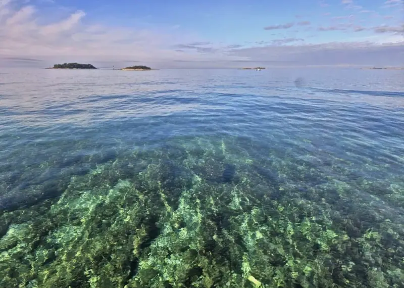 Clear, shallow water on the coast with small islands