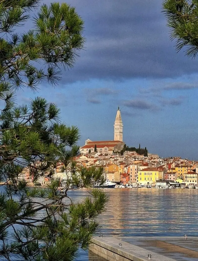 Old town with church tower by the sea, seen through pine trees