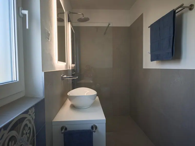 Bathroom with walk-in shower and countertop washbasin