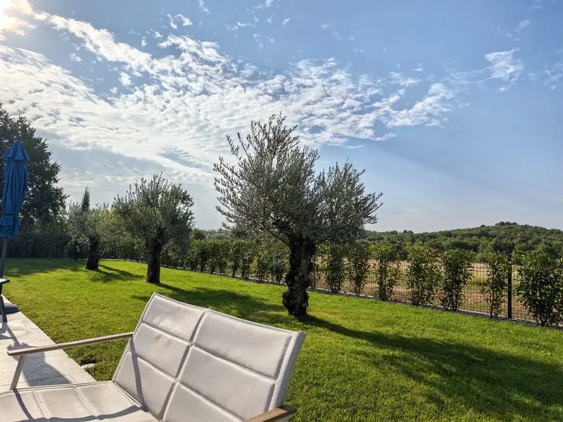 Garden with olive trees, lawn and a sun lounger