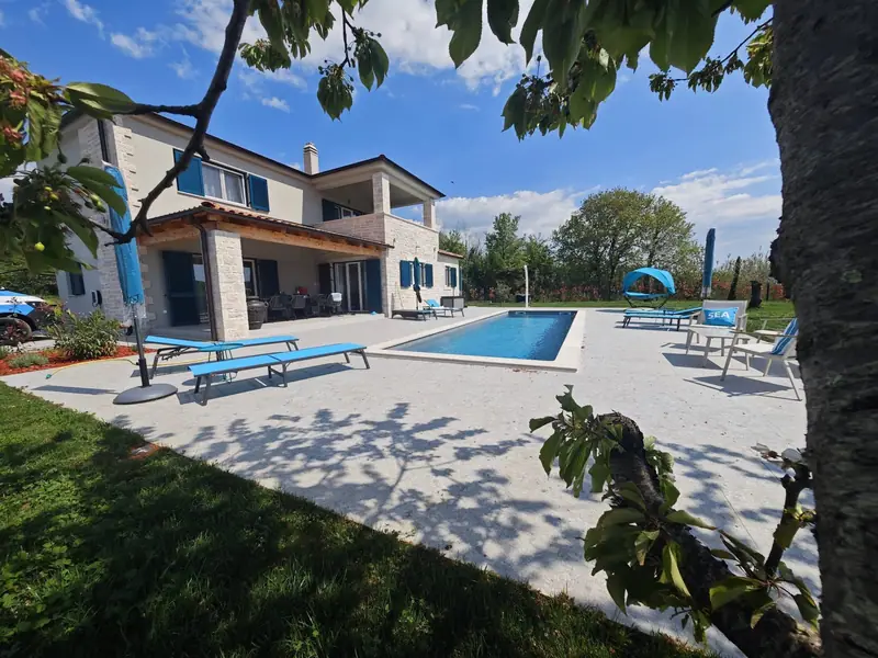 Pool with sun loungers and lawn, the house in the background